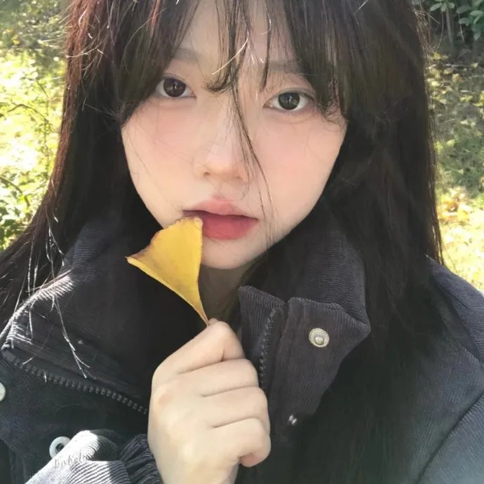 锁红颜